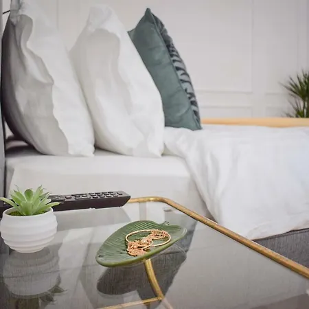 Voya - A Luxury Oasis In The Old Town * 브라쇼브